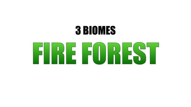 3 BIOMES | FIRE FOREST