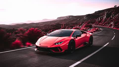 🌿 WILD GREEN ZONE