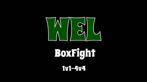 WEL BoxFight 1v1-4v4