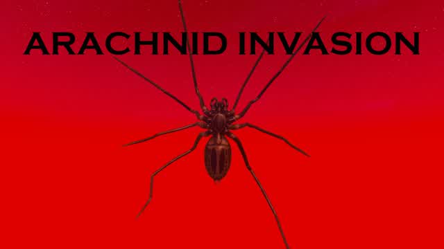 🕸️ARACHNID INVASION🕸️