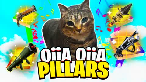 OIIA MEME PILLARS! 🐱