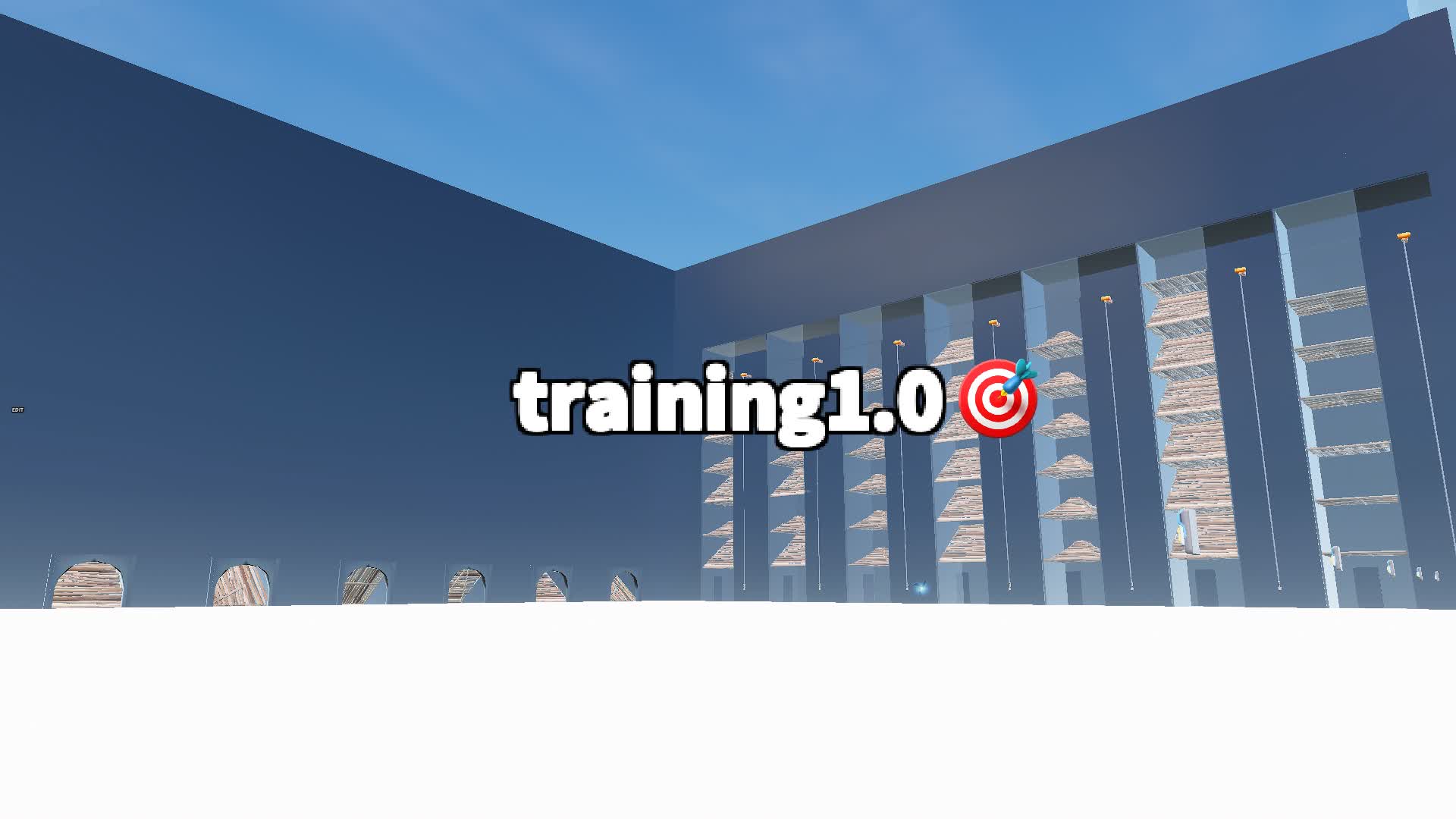 training1.0🎯