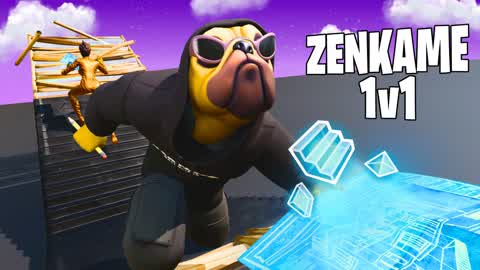 ZENKAME 1V1!