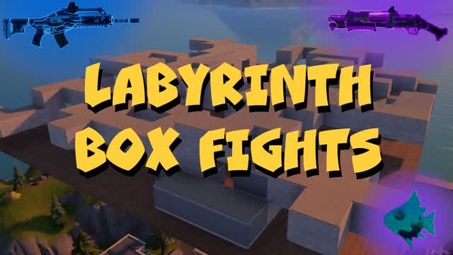 Labyrinth box fights!