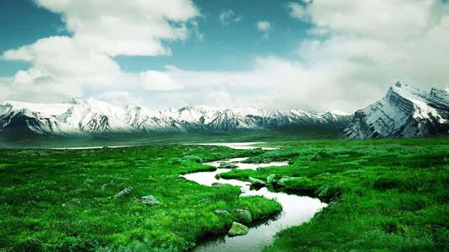 yanosik island