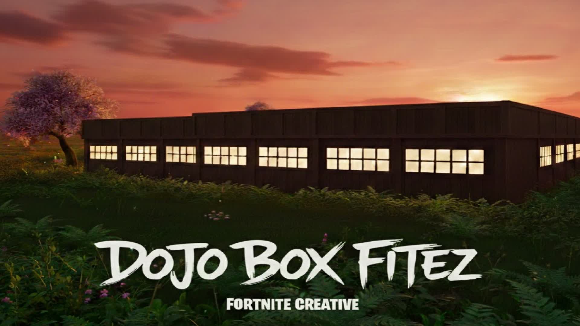 DOJO BOX FITEZ