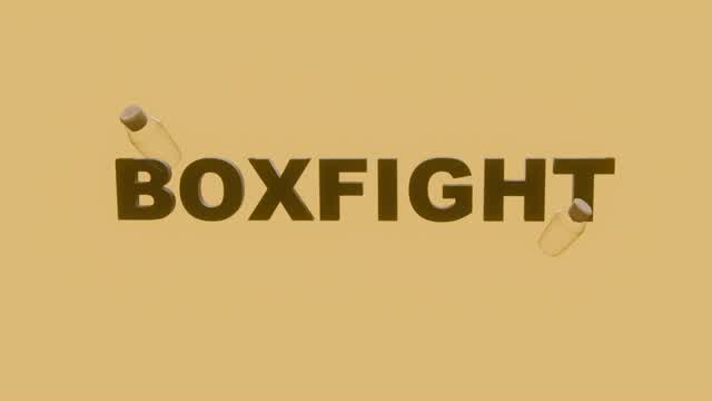 BOXFIGHT