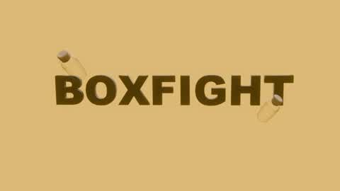 BOXFIGHT