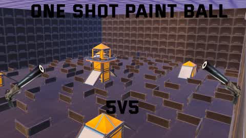 Paint ball 5v5 (one shot)