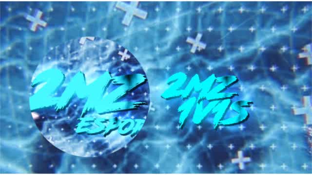 Team 2MZ 1v1 build fights