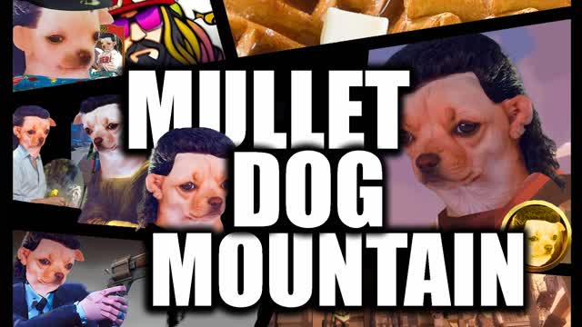 Capture 1 – Mullet Dog Mountain