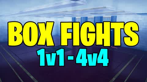BOX FIGHTS (1V1 To 4V4)