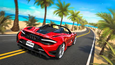 🌴 CAR DRIVE (PARADISE)