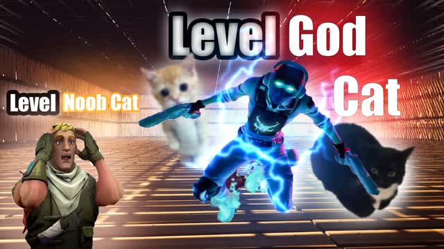 Cat Ranked Boxfight 😺