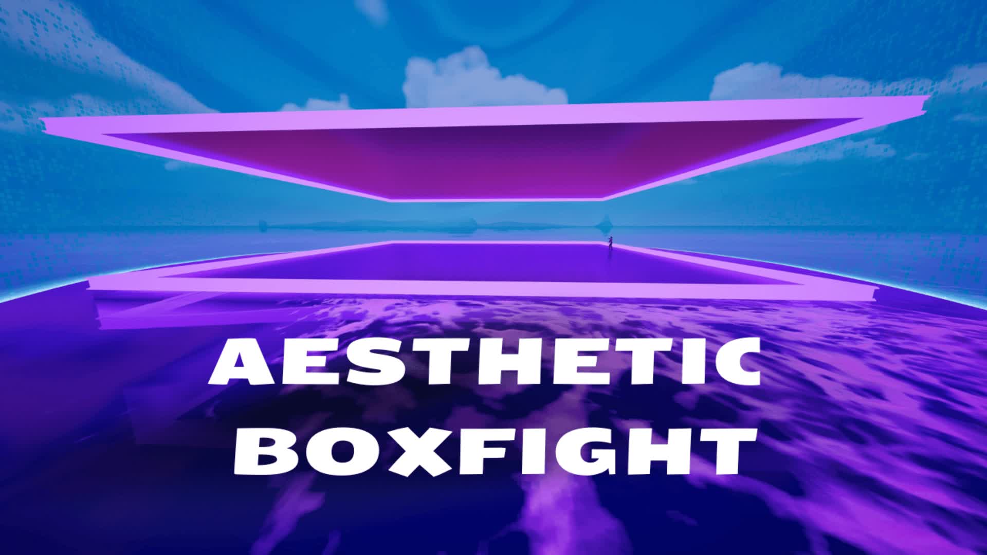 AESTHETIC BOXFIGHTS