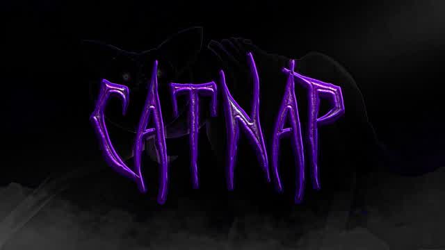 Capture 1 – CATNAP