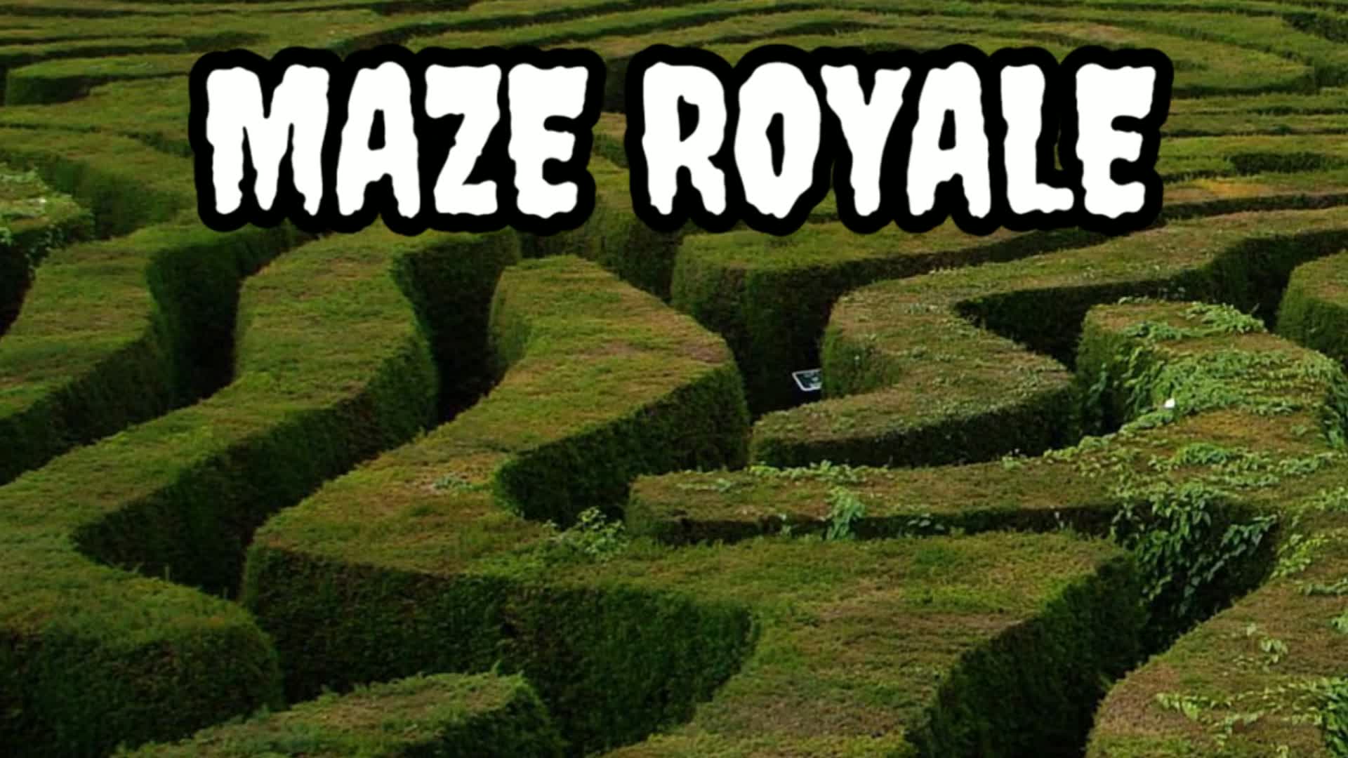 迷路ロイヤル