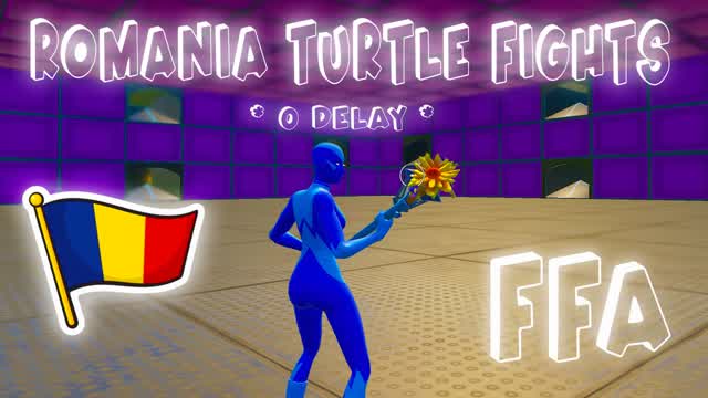 Capture 1 – *0 delay* Romania Turtle Fights