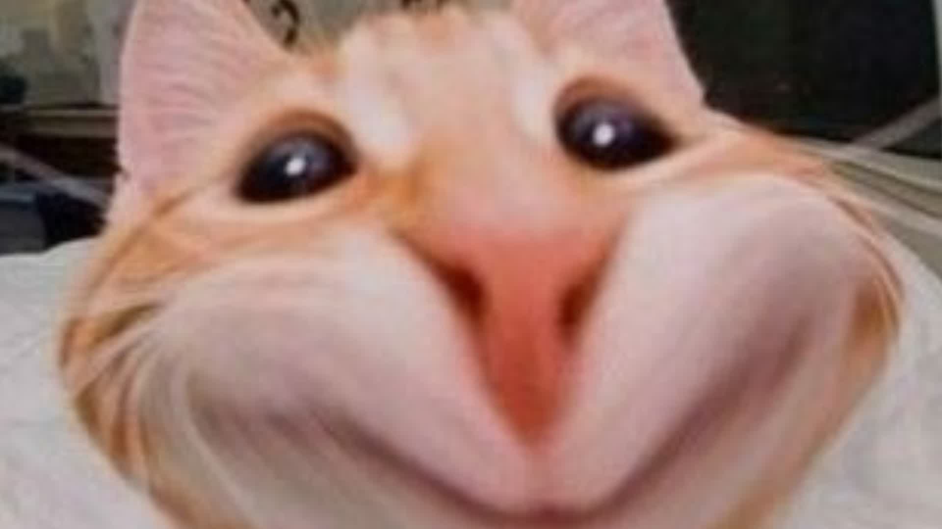 Accueil