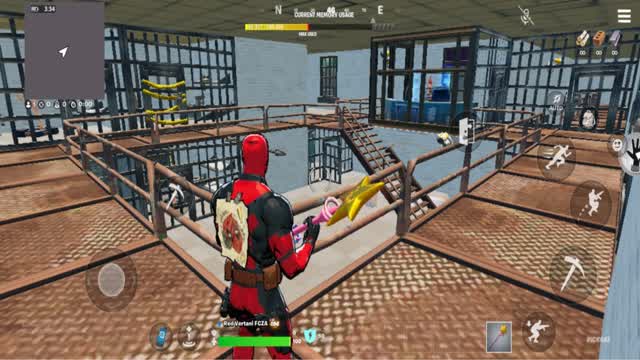 Prison Mayhem