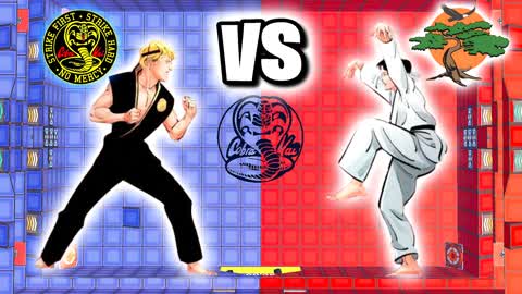 🐍COBRA KAI VS MIYAGI DO🔴🔵