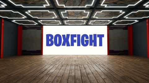 Box Fight — Arena Practice