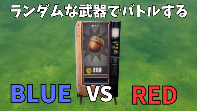 ランダムな武器でバトルするBLUE VS RED