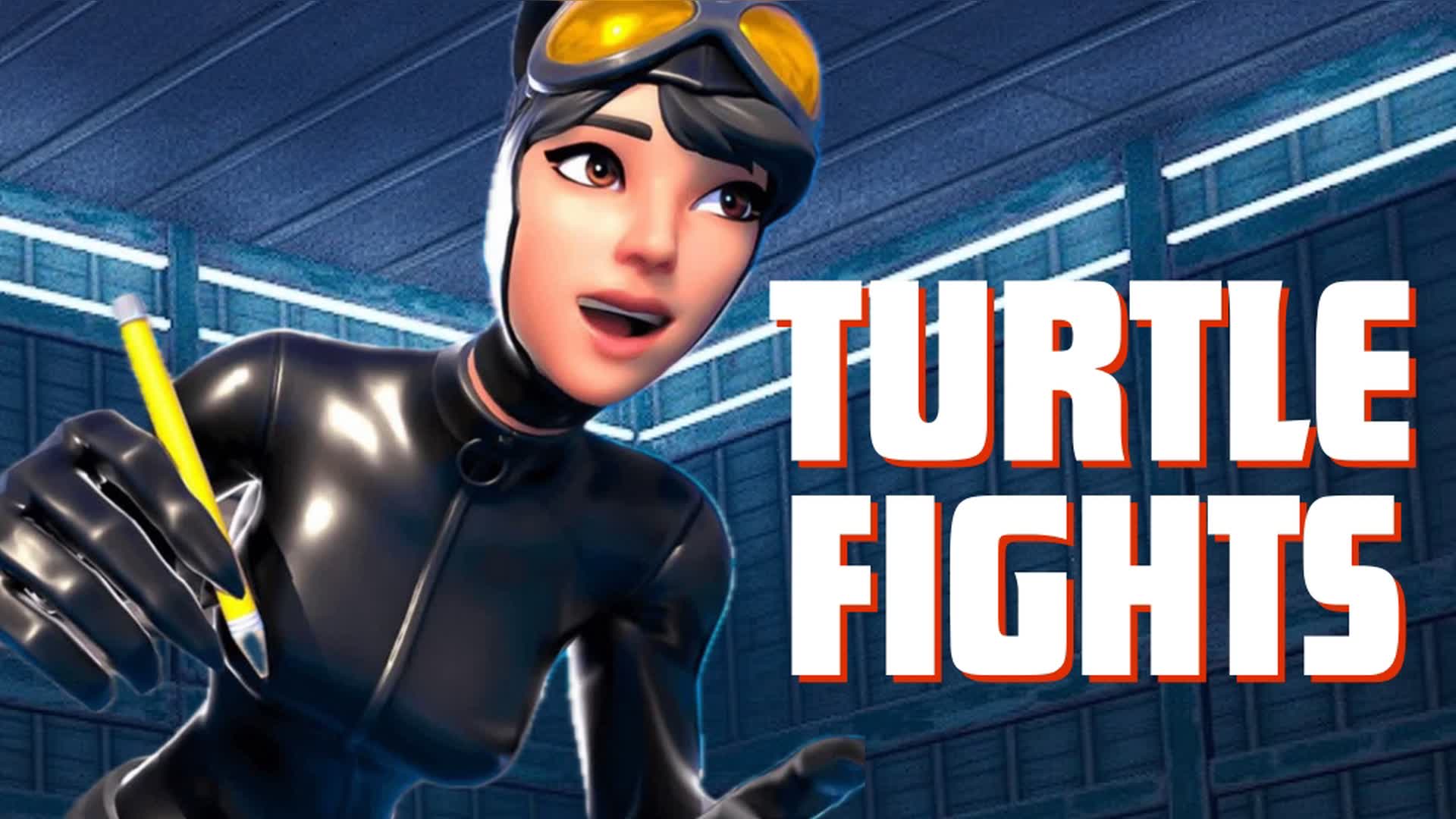 TURTLE FIGHTS