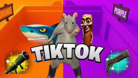 TIKTOK ORANGE VS PURPLE