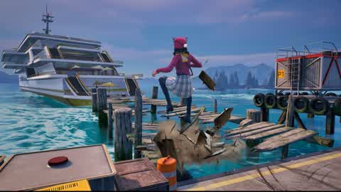 Dock Stranding