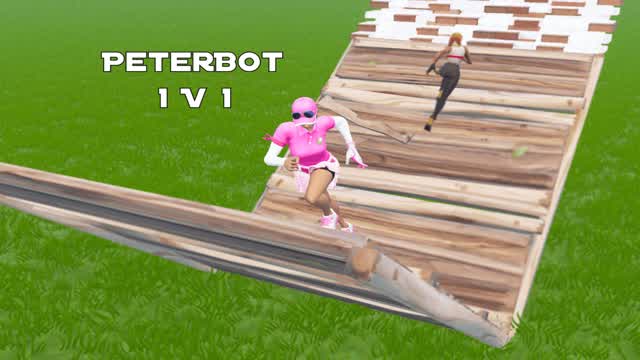 PeterBot's 1V1