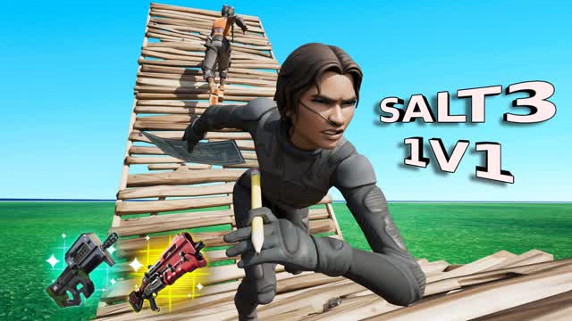 SALT3 1V1