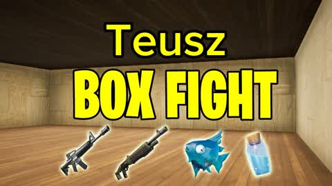 Teusz box fight