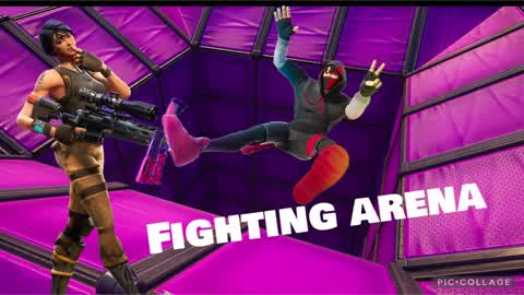 FIGHTING ARENA
