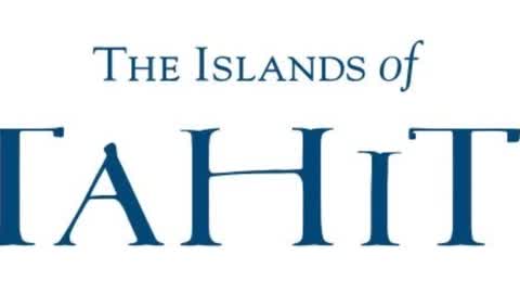 BUILD FIGHT 1.0 - ⚔️