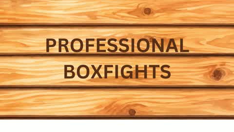 pro boxfights