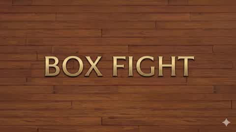 BOX FIGHT PVP 9AF