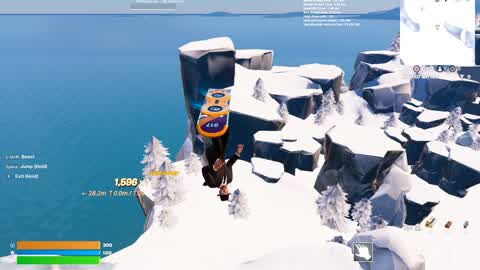 snowboareding/skiing