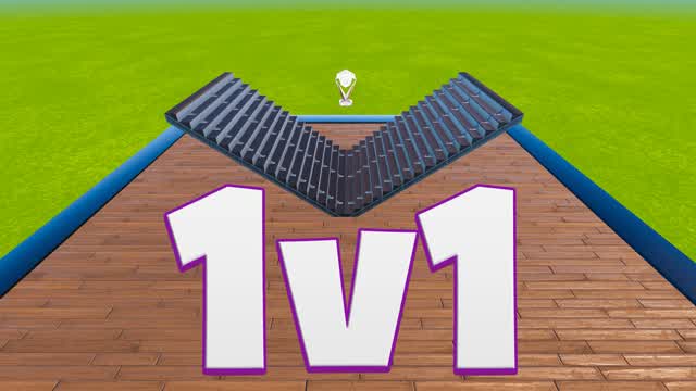 1v1