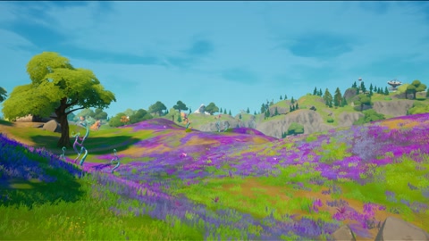 Island image