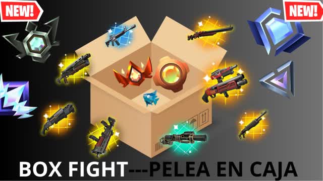 box fight---pelea de caja