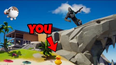 UP Hide and seek🦈