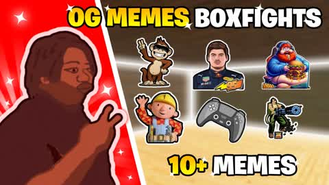 STUPID MEME BOXFIGHTS