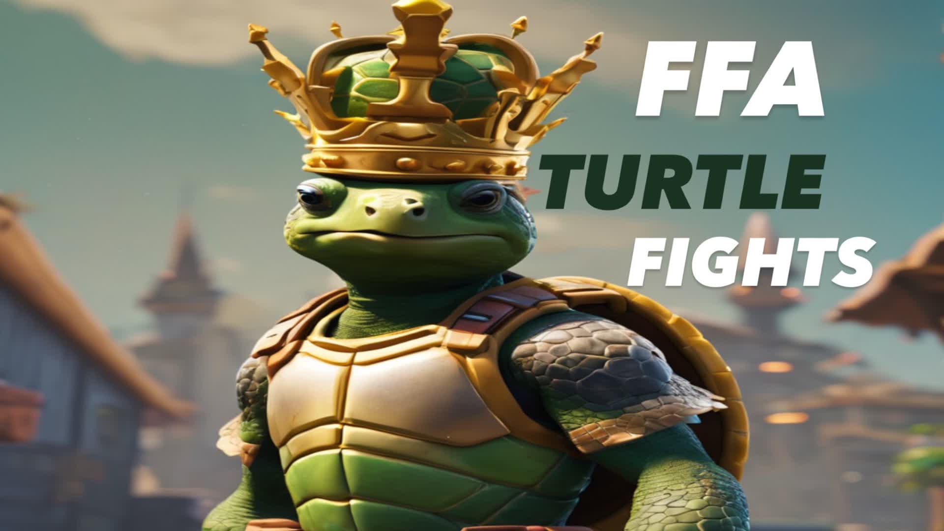 Turtle2Pro
