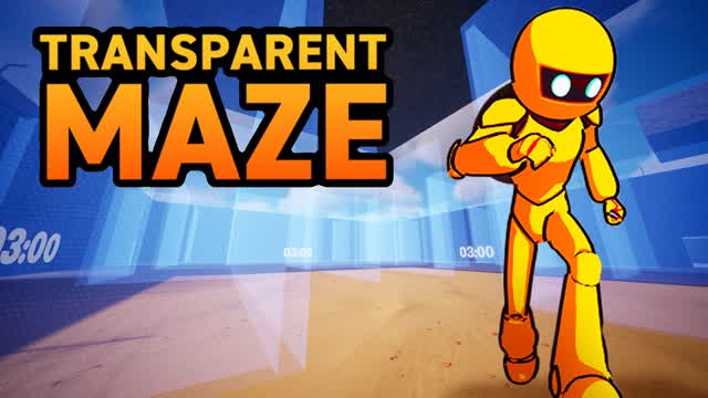 TRANSPARENT MAZE