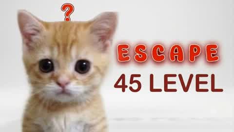 45+ Level Escape Room Hard