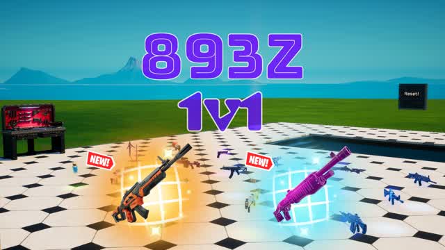 893z 1v1