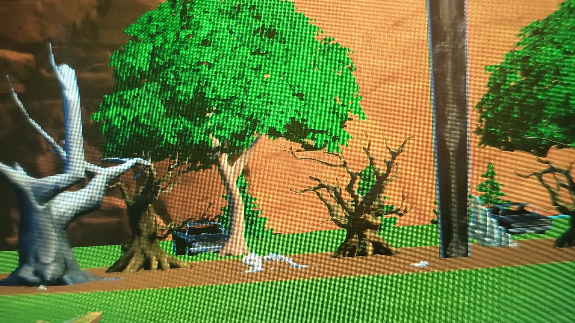 First person Fortnite Random
