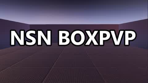 NSN BOXPVP