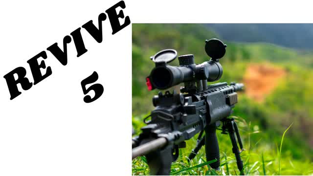Capture 1 – Revive 5